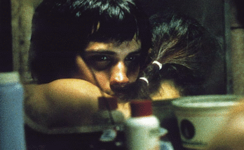 El retrato de la vida urbana en ’Amores perros’